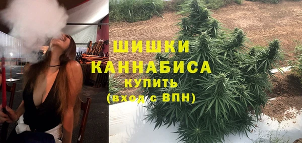 дживик Арсеньев