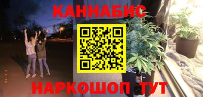 МДПВ Брянск