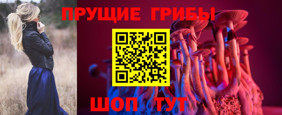 Асино  Галлюциногенные грибы GOLDEN TEACHER  Вход с VPN  Псилоцибиновые грибы Cubensis 